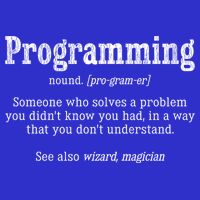 Funny Programmer Definition Debugger Computer Programmer Cute Gift Valucap Bio-Washed Visor