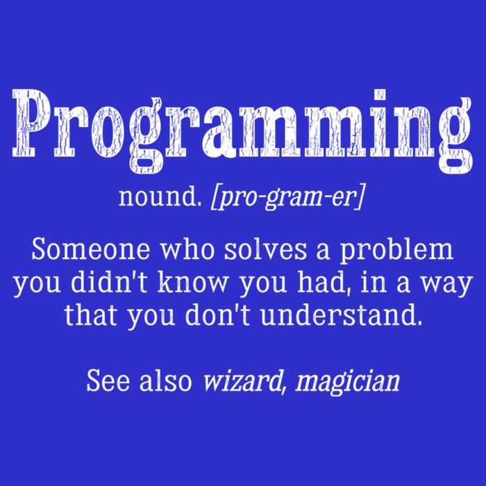 Funny Programmer Definition Debugger Computer Programmer Cute Gift Valucap Bio-Washed Visor