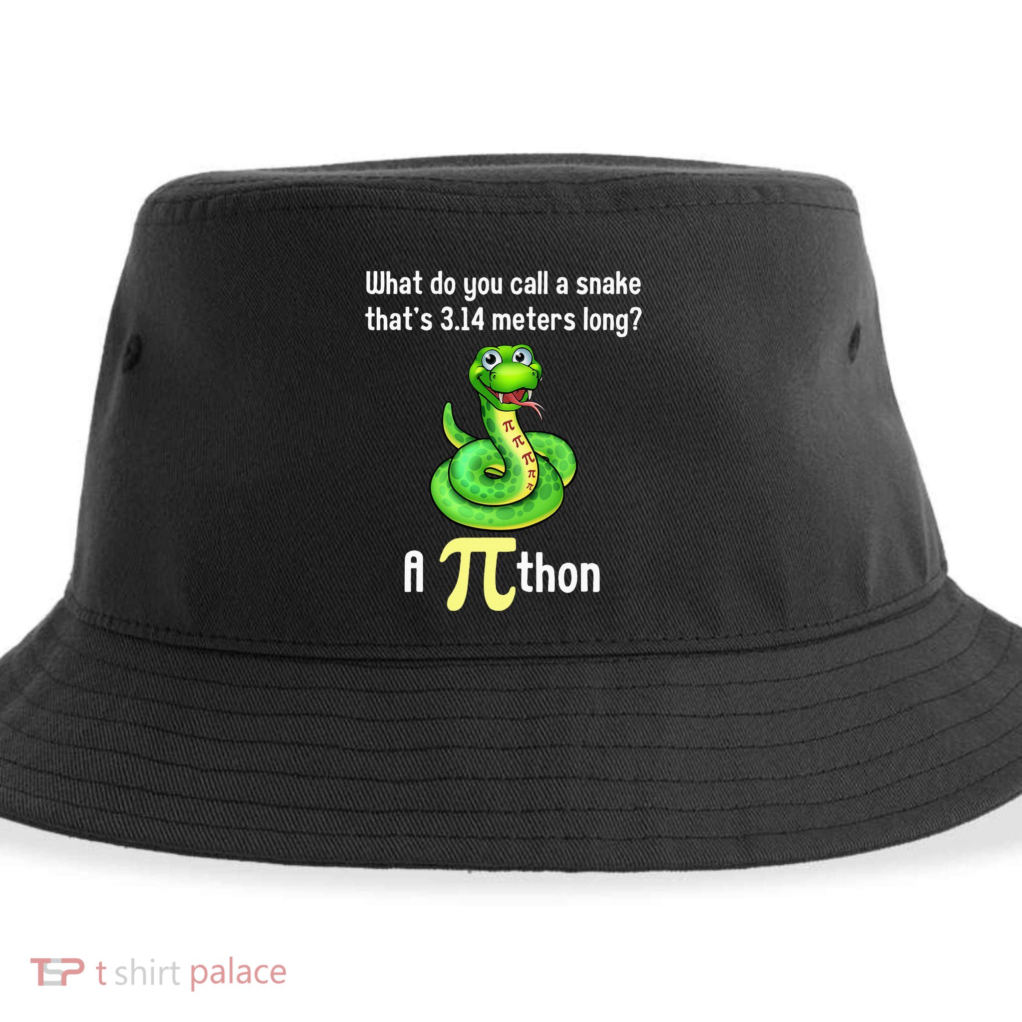 Funny Pi day Puns Pithon Math Teacher Jokes Sustainable Bucket Hat