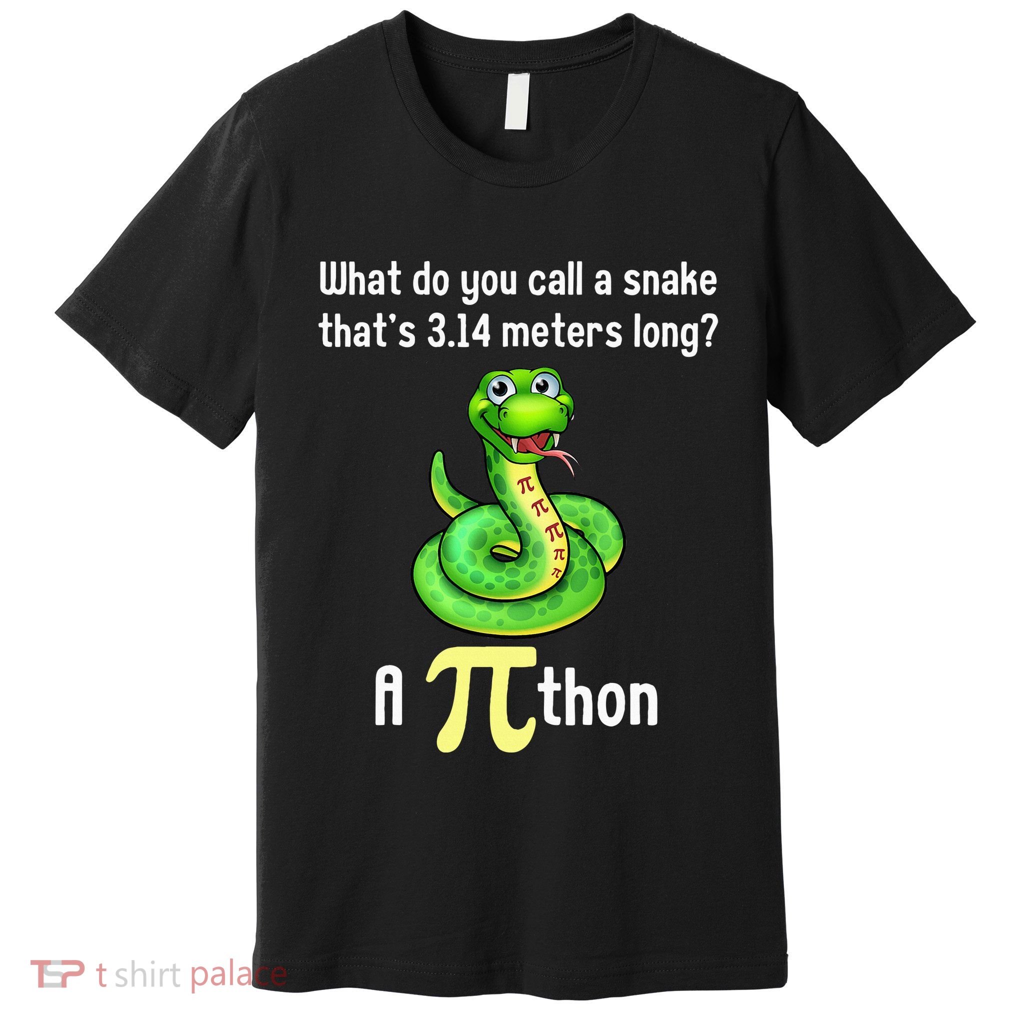 Funny Pi day Puns Pithon Math Teacher Jokes Premium T-Shirt