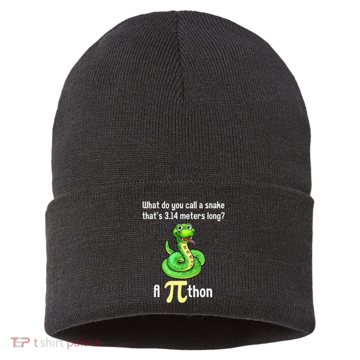 Funny Pi day Puns Pithon Math Teacher Jokes Sustainable Knit Beanie