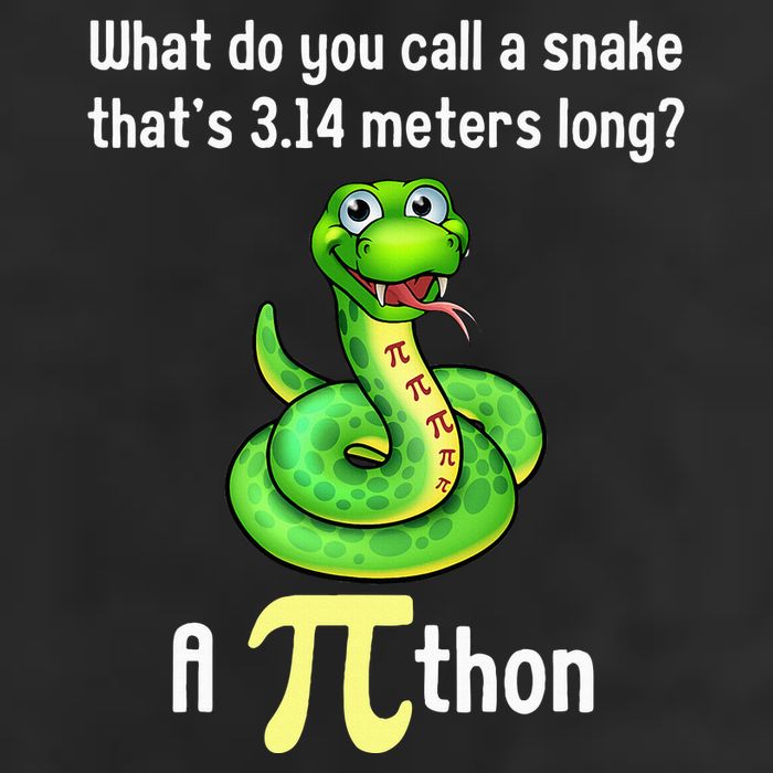 Funny Pi day Puns Pithon Math Teacher Jokes Microfiber Hand Towel