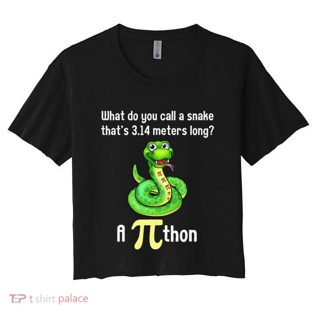 Funny Pi day Puns Pithon Math Teacher Jokes Crop Top