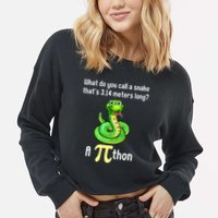 Funny Pi day Puns Pithon Math Teacher Jokes Cropped Pullover Crew