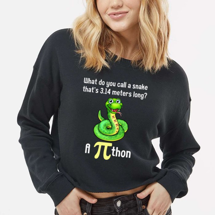 Funny Pi day Puns Pithon Math Teacher Jokes Cropped Pullover Crew