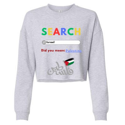 Free Palestine Did You Mean Palestine Gift Cropped Pullover Crew