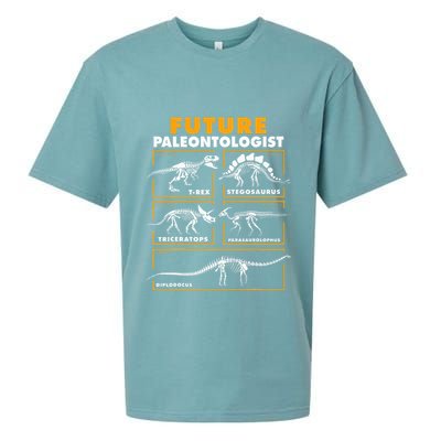 Future Paleontologist Dinosaur Fossil Paleontology Sueded Cloud Jersey T-Shirt