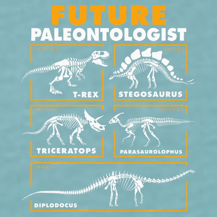 Future Paleontologist Dinosaur Fossil Paleontology Sueded Cloud Jersey T-Shirt