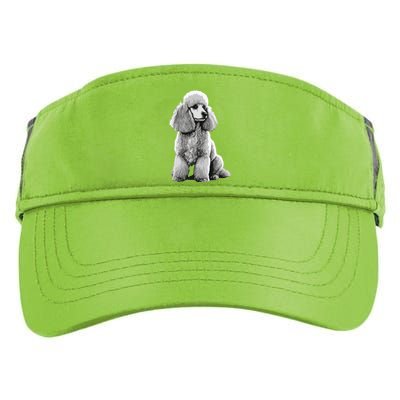 Funny Poodle Dog Miniature Poodle Toy Poodle Adult Drive Performance Visor