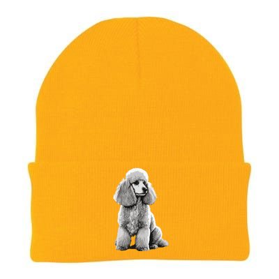 Funny Poodle Dog Miniature Poodle Toy Poodle Knit Cap Winter Beanie