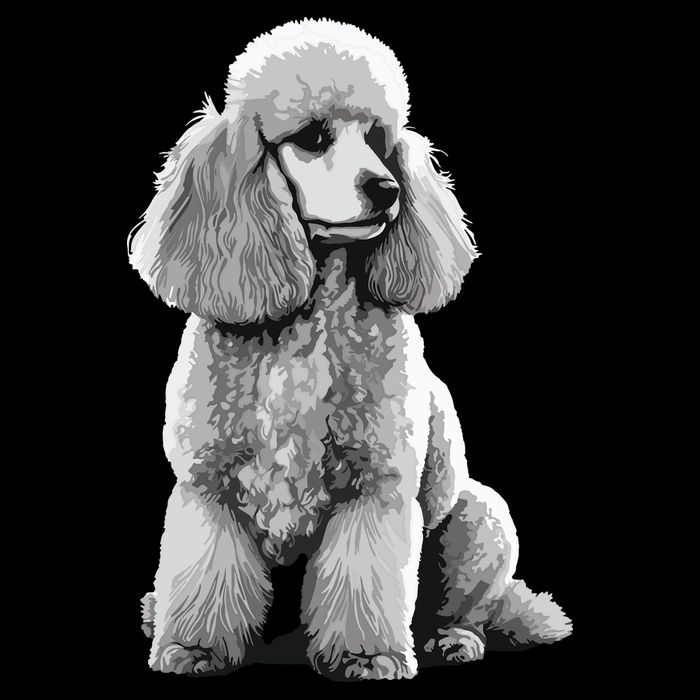 Funny Poodle Dog Miniature Poodle Toy Poodle Cooling Performance Crew T-Shirt