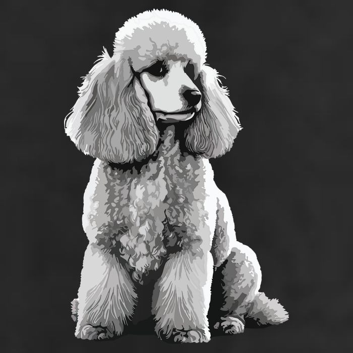 Funny Poodle Dog Miniature Poodle Toy Poodle 11oz C Handle Ceramic Mug