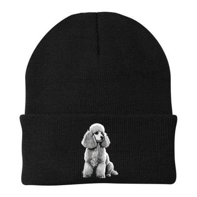 Funny Poodle Dog Miniature Poodle Toy Poodle Beanie