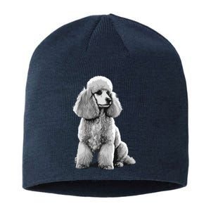 Funny Poodle Dog Miniature Poodle Toy Poodle Sustainable Beanie