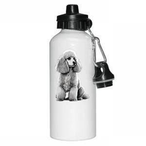 Funny Poodle Dog Miniature Poodle Toy Poodle Aluminum Water Bottle