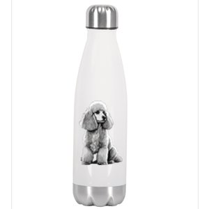 Funny Poodle Dog Miniature Poodle Toy Poodle Stainless Steel Insulated Water Bottle