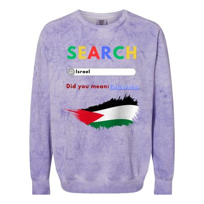 Free Palestine Did You Mean Palestine Gift Colorblast Crewneck Sweatshirt