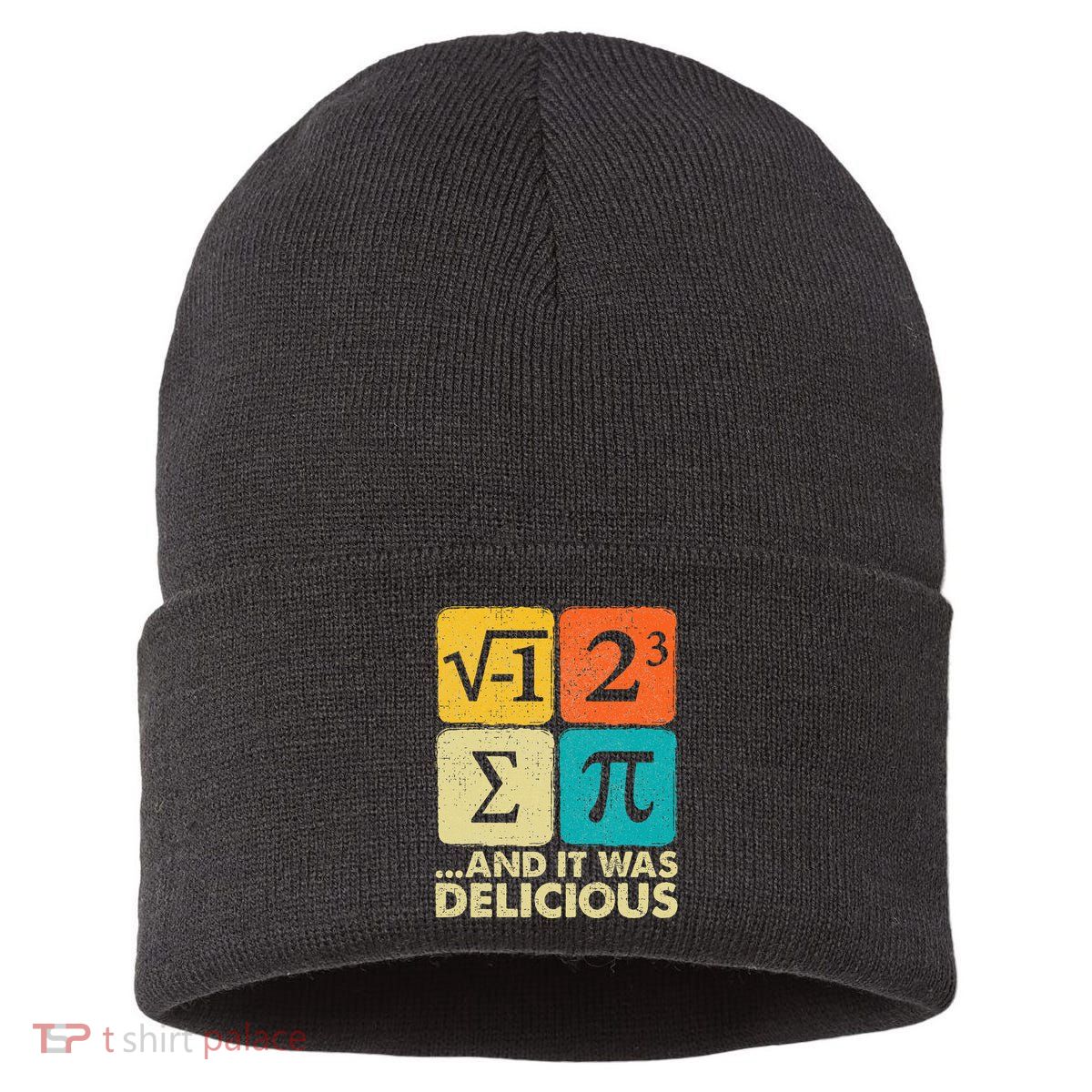 Funny PI Day Math Pun Sustainable Knit Beanie