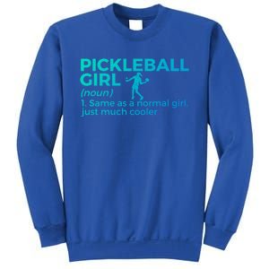 Funny Pickleball Definition Funny Gift Sweatshirt