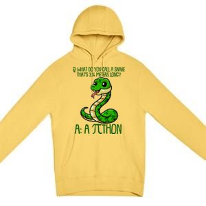 Funny Pi Day 314 PiThon Python Snake Joke Premium Pullover Hoodie