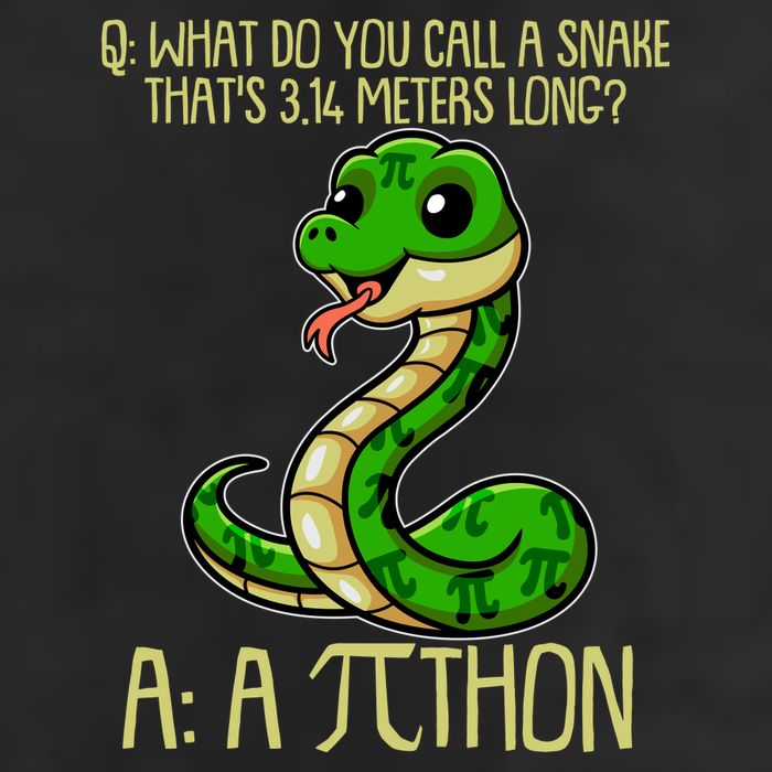 Funny Pi Day 314 PiThon Python Snake Joke Cool Comfort Performance Bucket Hat
