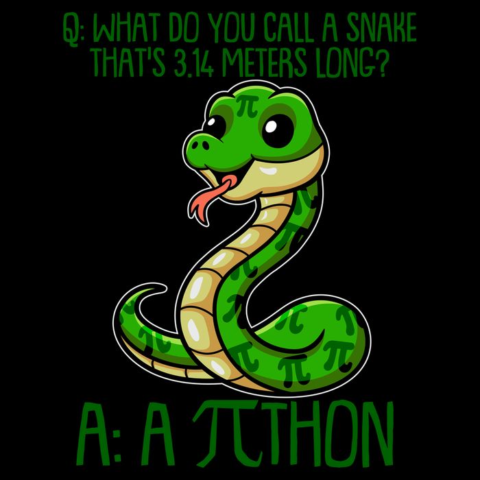 Funny Pi Day 314 PiThon Python Snake Joke Baseball Sleeve Shirt