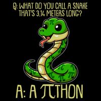 Funny Pi Day 314 PiThon Python Snake Joke Crop Top