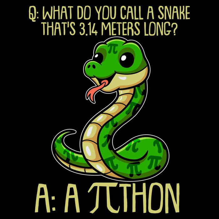 Funny Pi Day 314 PiThon Python Snake Joke Cropped Pullover Crew