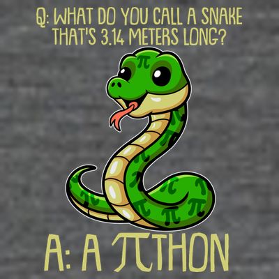Funny Pi Day 314 PiThon Python Snake Joke T-Shirt