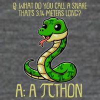 Funny Pi Day 314 PiThon Python Snake Joke Ladies Essential Flowy Tank
