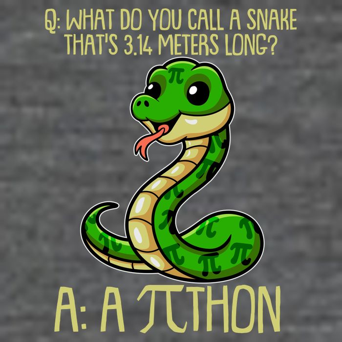 Funny Pi Day 314 PiThon Python Snake Joke Ladies Essential Flowy Tank