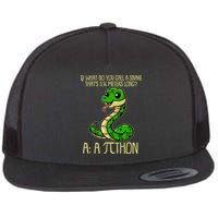 Funny Pi Day 314 PiThon Python Snake Joke Flatbill Hat