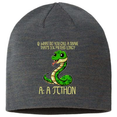 Funny Pi Day 314 PiThon Python Snake Joke Sustainable Beanie