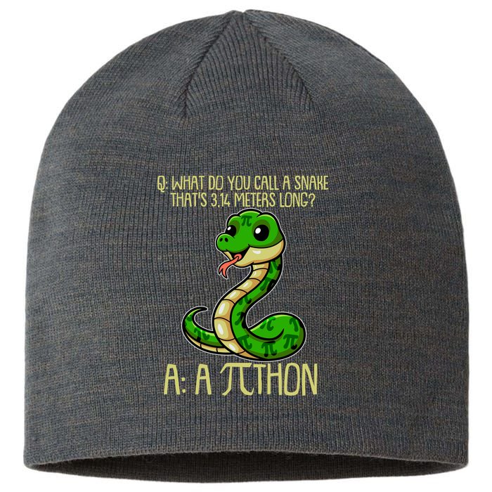 Funny Pi Day 314 PiThon Python Snake Joke Sustainable Beanie