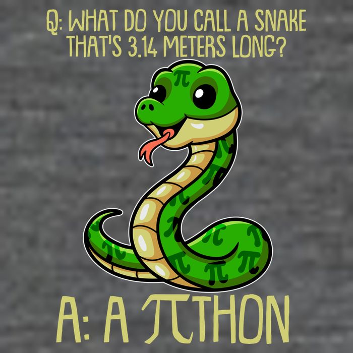 Funny Pi Day 314 PiThon Python Snake Joke Tank Top