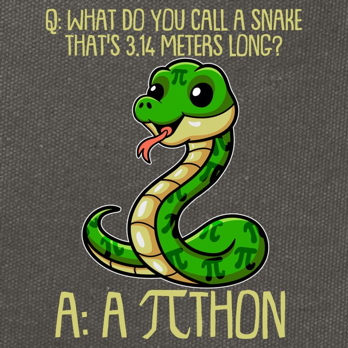 Funny Pi Day 314 PiThon Python Snake Joke Cotton Canvas Backpack
