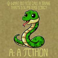 Funny Pi Day 314 PiThon Python Snake Joke Garment-Dyed Women's Muscle Tee