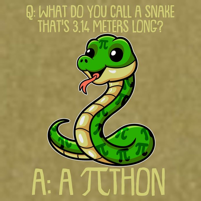 Funny Pi Day 314 PiThon Python Snake Joke Garment-Dyed Women's Muscle Tee