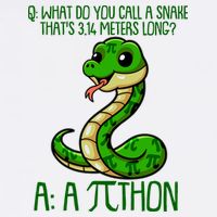 Funny Pi Day 314 PiThon Python Snake Joke Garment-Dyed Sweatshirt
