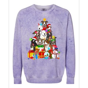 Funny Pitbull Dog Christmas Tree Lights Puppy Dog Lover Cute Gift Colorblast Crewneck Sweatshirt