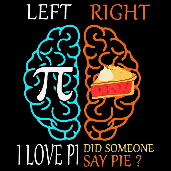 Funny Pi Day Left Vs Right Brain Pie Math Geek Premium T-Shirt