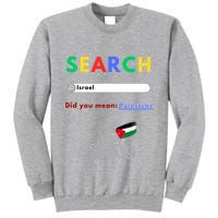 Free Palestine Did You Mean Palestine Tall Sweatshirt