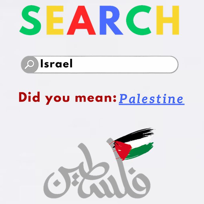 Free Palestine Did You Mean Palestine Button