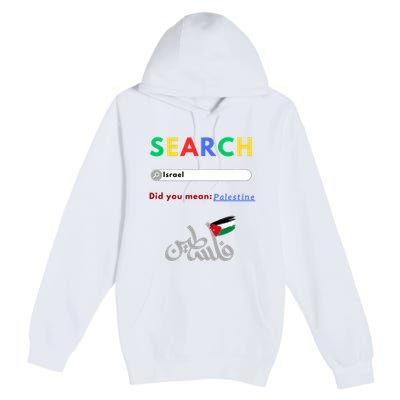 Free Palestine Did You Mean Palestine Premium Pullover Hoodie