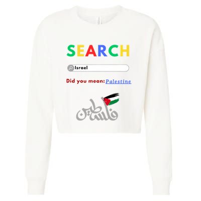 Free Palestine Did You Mean Palestine Cropped Pullover Crew