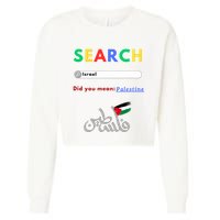 Free Palestine Did You Mean Palestine Cropped Pullover Crew