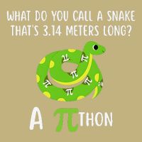 Funny Pi Day 3.14 Pithon Python Math Teachers Students Joke .Png Button