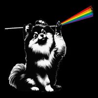 Funny Pomeranian Dog Rock Music Rainbow Fun Dark Side Moon Sustainable Bucket Hat