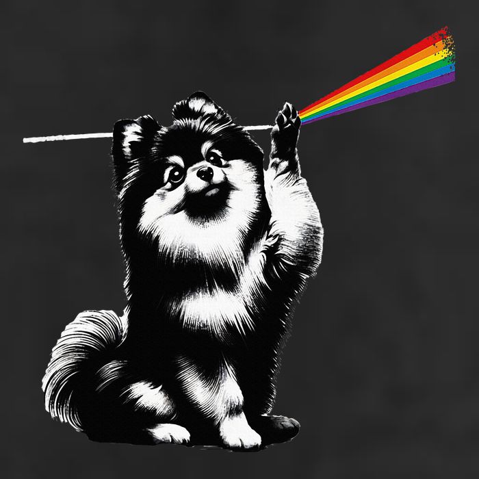 Funny Pomeranian Dog Rock Music Rainbow Fun Dark Side Moon 11oz C Handle Ceramic Mug