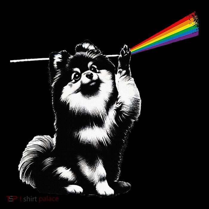 Funny Pomeranian Dog Rock Music Rainbow Fun Dark Side Moon Wool Snapback Cap